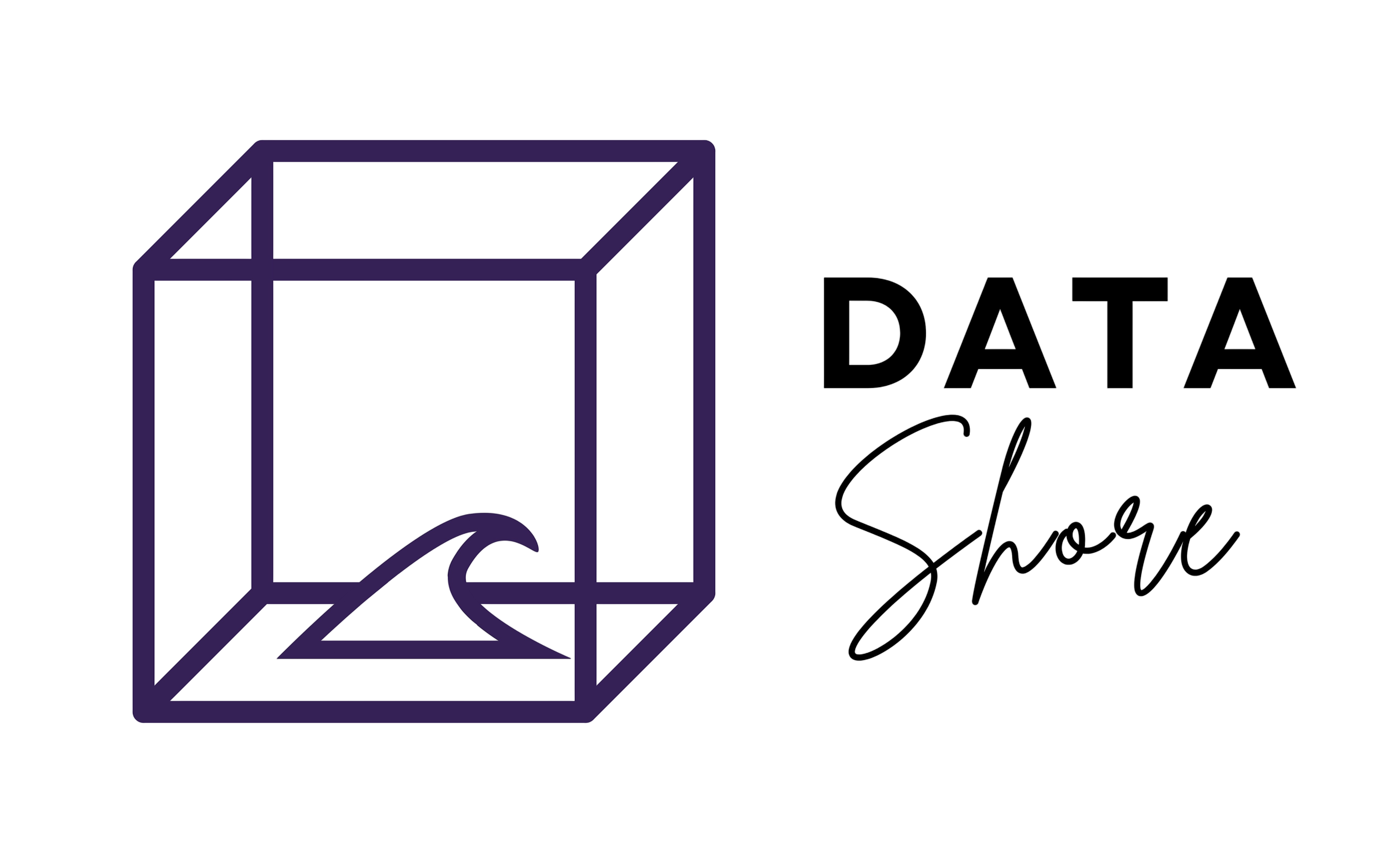 DataShore Logo